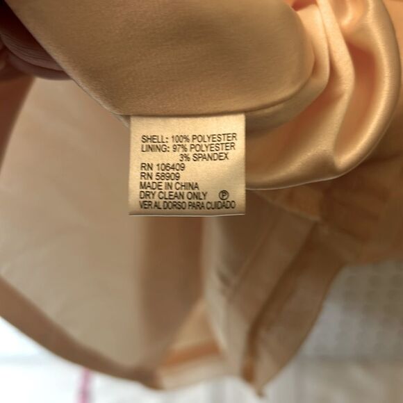 Gianni Bini Blush Pink Mesh Striped Sleeveless Mini Formal Dress w/Slip Sz 0 - Picture 9 of 9